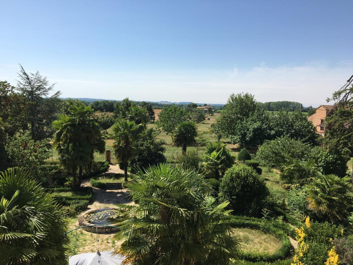 Domaine De Menerque - Petit Chateau Avec Piscine Lisle-sur-Tarn エクステリア 写真