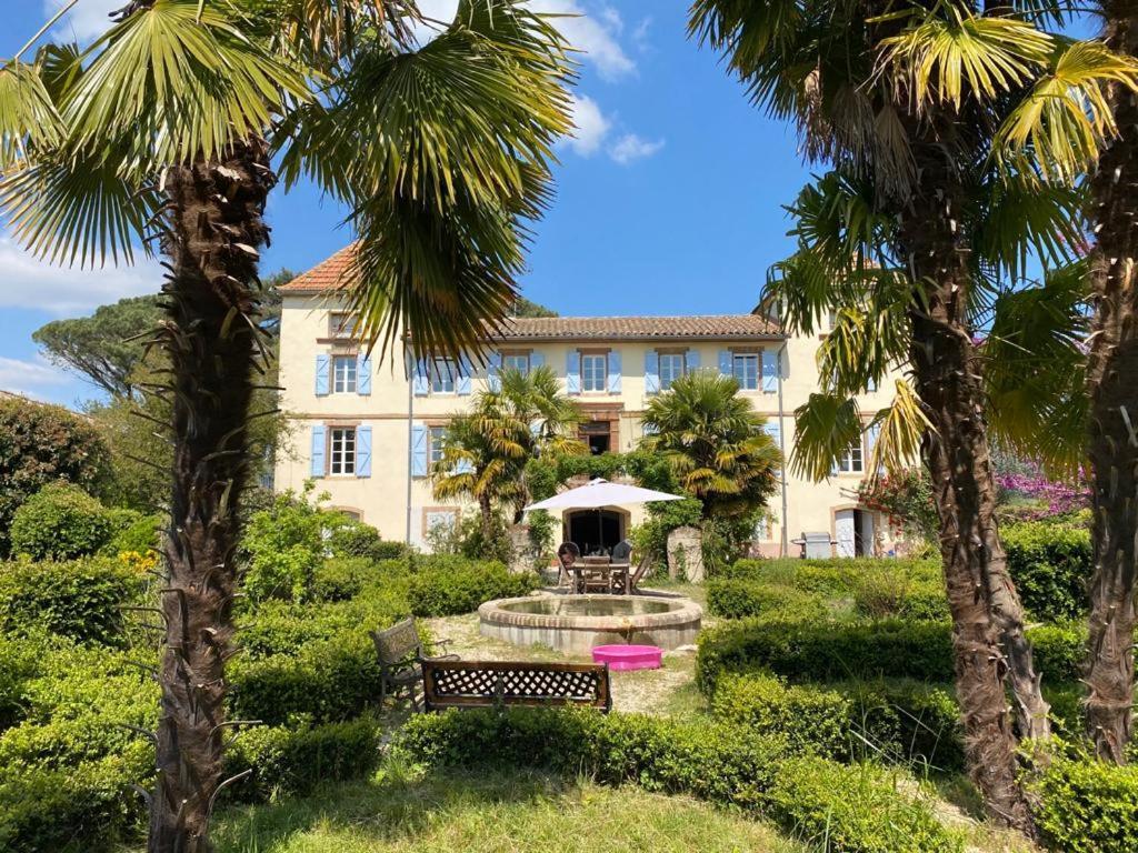 Domaine De Menerque - Petit Chateau Avec Piscine Lisle-sur-Tarn エクステリア 写真