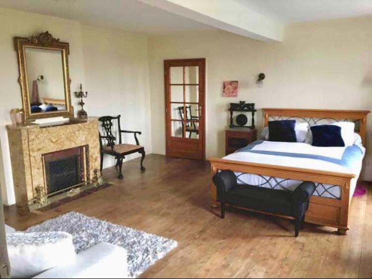 Domaine De Menerque - Petit Chateau Avec Piscine Lisle-sur-Tarn エクステリア 写真