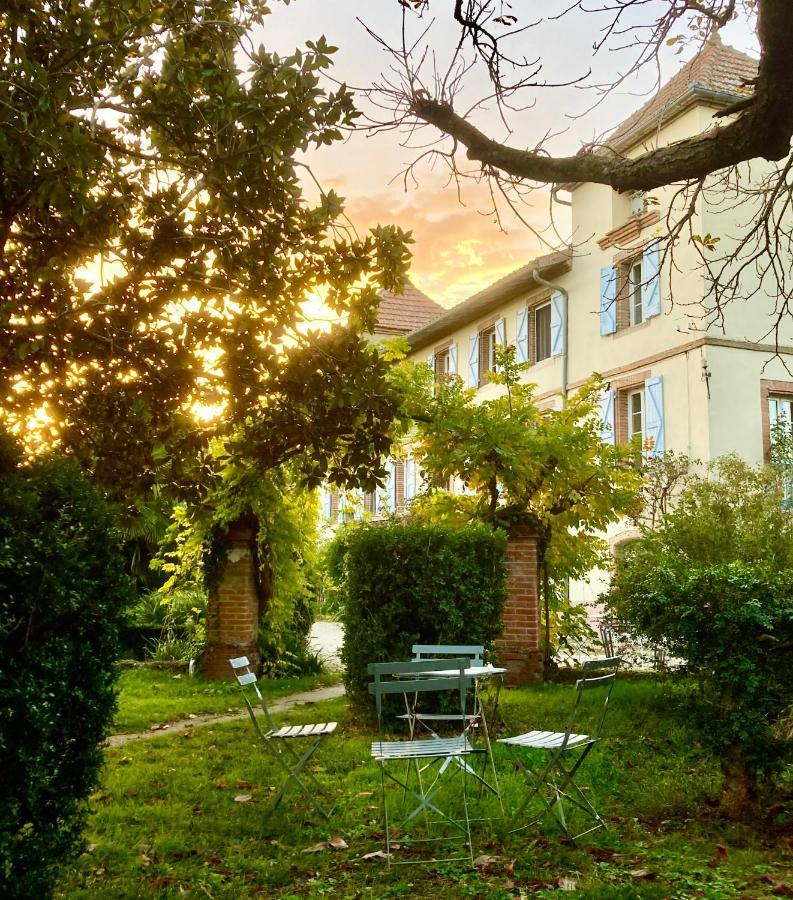 Domaine De Menerque - Petit Chateau Avec Piscine Lisle-sur-Tarn エクステリア 写真
