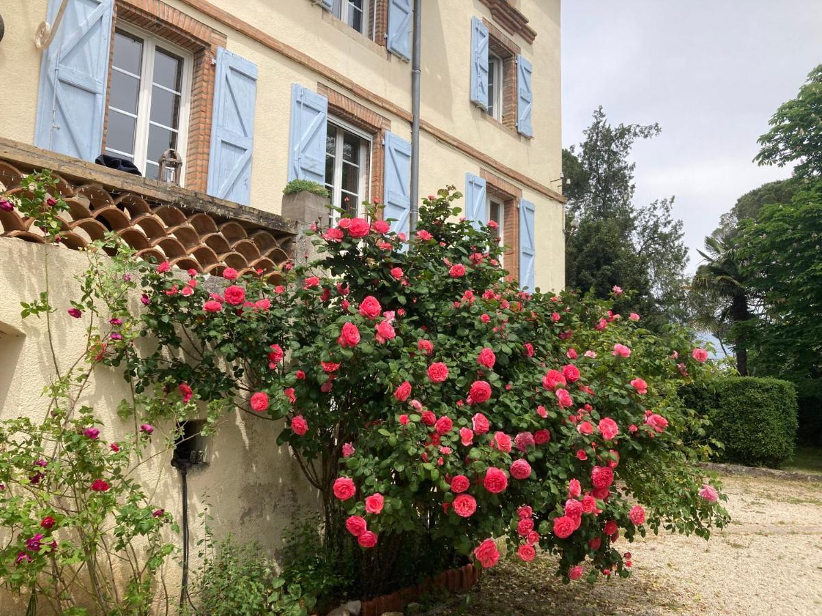 Domaine De Menerque - Petit Chateau Avec Piscine Lisle-sur-Tarn エクステリア 写真