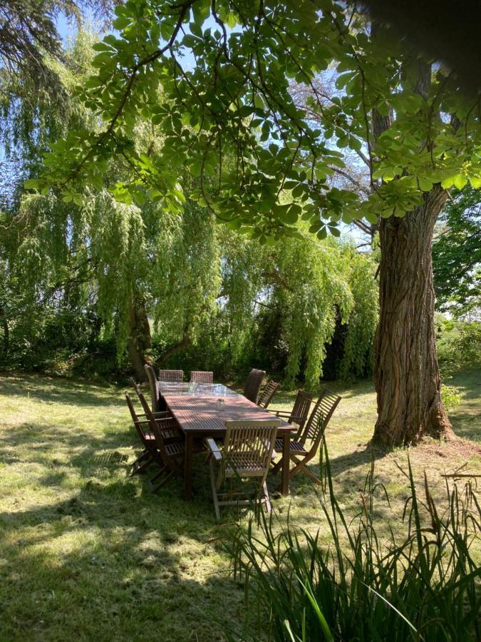 Domaine De Menerque - Petit Chateau Avec Piscine Lisle-sur-Tarn エクステリア 写真