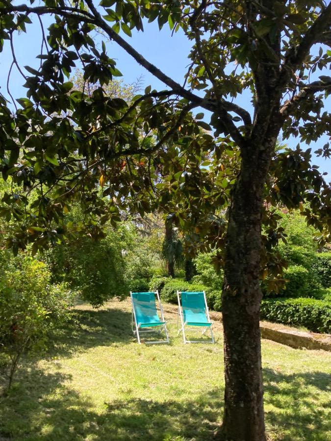 Domaine De Menerque - Petit Chateau Avec Piscine Lisle-sur-Tarn エクステリア 写真