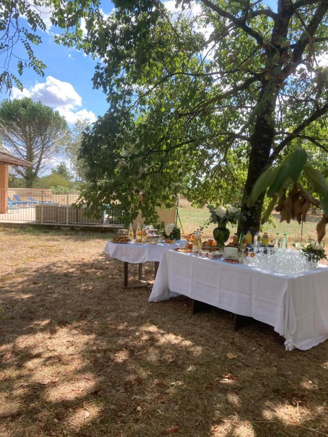 Domaine De Menerque - Petit Chateau Avec Piscine Lisle-sur-Tarn エクステリア 写真