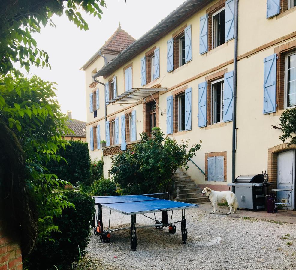 Domaine De Menerque - Petit Chateau Avec Piscine Lisle-sur-Tarn エクステリア 写真