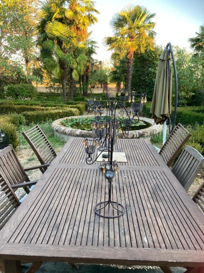 Domaine De Menerque - Petit Chateau Avec Piscine Lisle-sur-Tarn エクステリア 写真