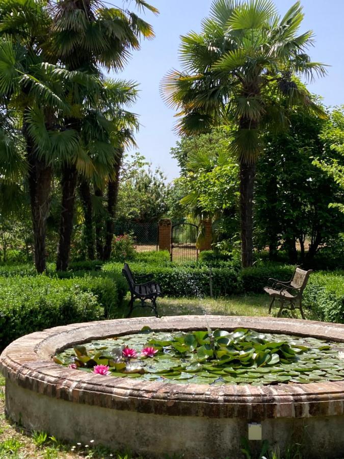 Domaine De Menerque - Petit Chateau Avec Piscine Lisle-sur-Tarn エクステリア 写真