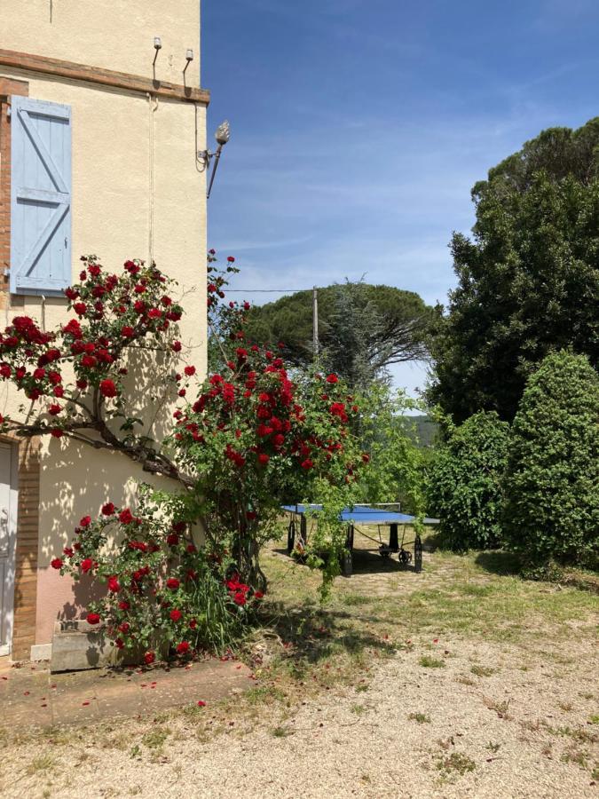 Domaine De Menerque - Petit Chateau Avec Piscine Lisle-sur-Tarn エクステリア 写真